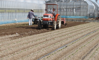 畝が曲がってしまったため作り直し