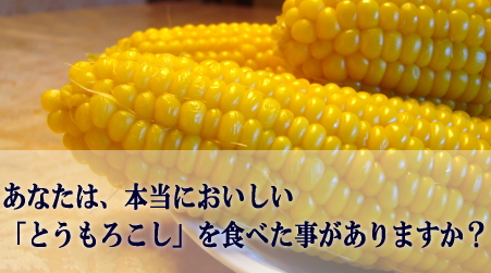 あなたは本当においしいとうもろこしを食べた事がありますか?