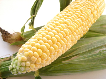 とうもろこし