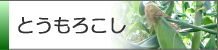とうもろこし栽培