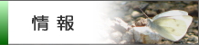 情報
