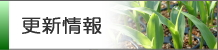 更新情報