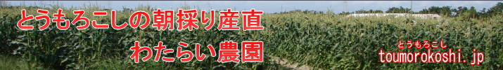 とうもろこしの朝採り産直 わたらい農園 toumorokoshi.jp とうもろこし.jp