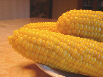 ゆでたとうもろこし
